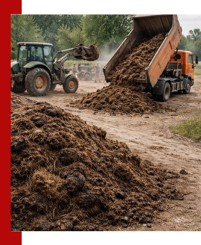 Доставка навоза самосвалами в Нижнекамске для сельхозпотребностей